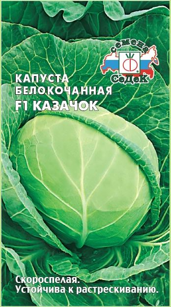 Капуста Казачок F1 (Б/К)