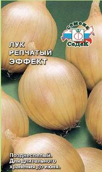 Лук Эффект (репч.)