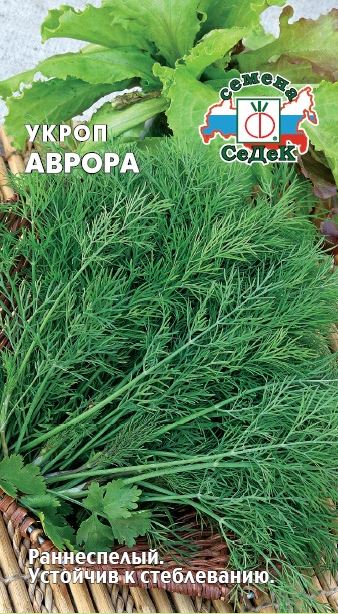 Укроп Аврора