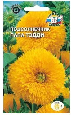 Цветок Подсолнечник Папа Тэдди (высокорослый, махровый, желтый)