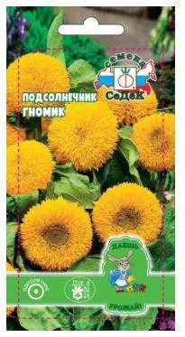 Цветок Подсолнечник Гномик (карликовый, высотой 60 см)