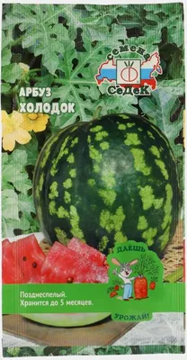 Арбуз Холодок СеДеК 