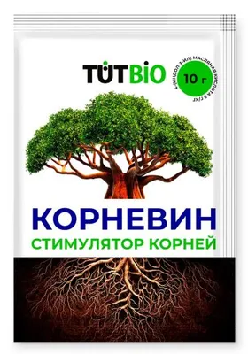 Стимулятор корнеобразования ТУТ БИО Корневин 10г