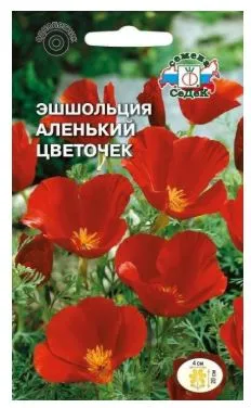 Цветок Эшшольция Аленький цветочек 