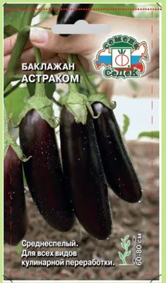 Баклажан Астраком СеДеК 